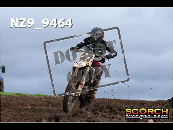 Experts-116