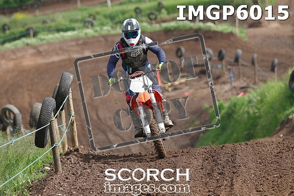 IMGP6015