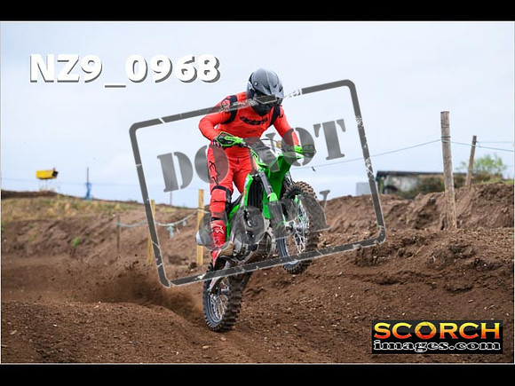 IntersGreen-091