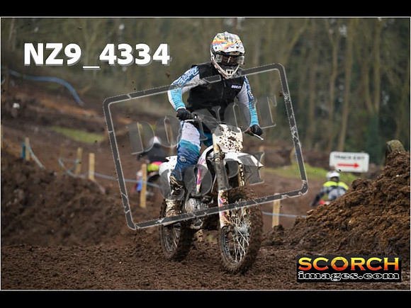 Experts-181