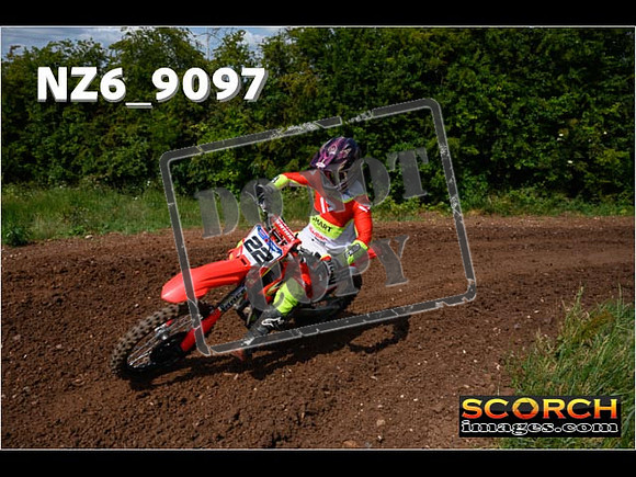 Experts-161