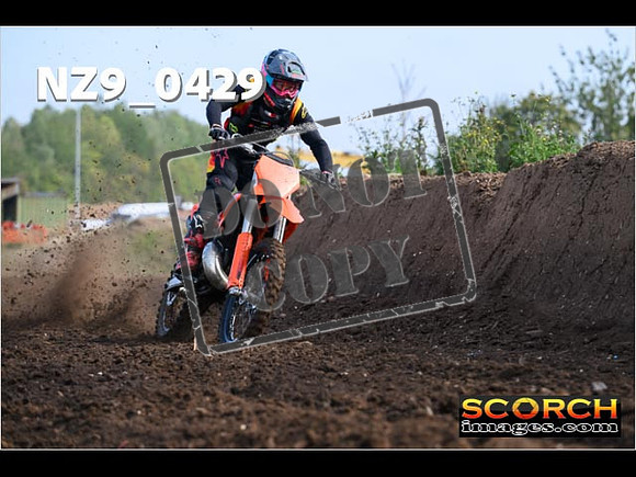Experts-026
