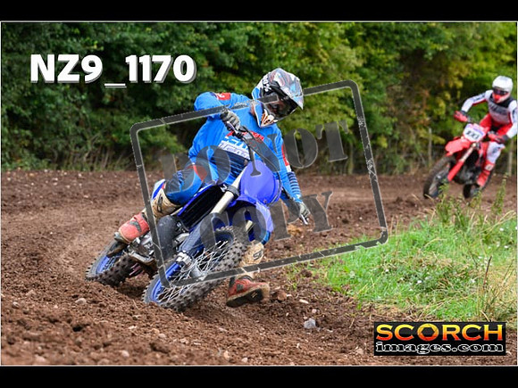 Experts-051