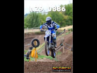 IntersGreen-013