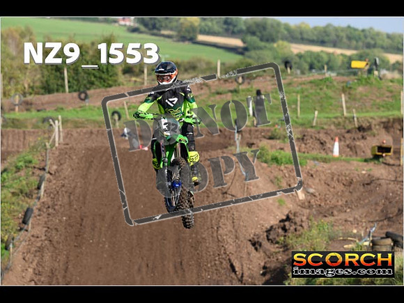Experts-236
