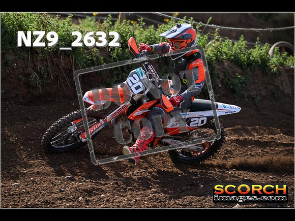 IntersGreenOrange-032