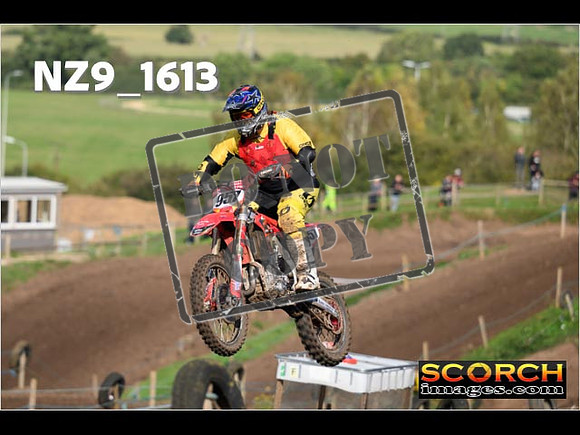 Experts-294