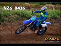 InterGreen-009