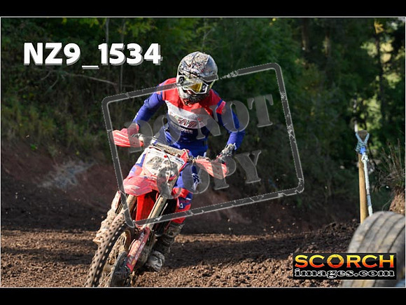 Experts-220