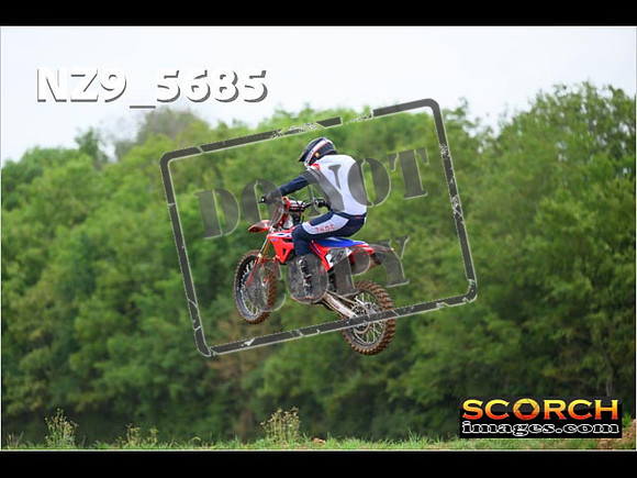 Experts-085
