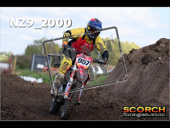 Experts-343