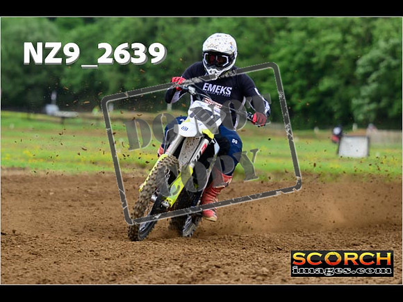 Novice-229
