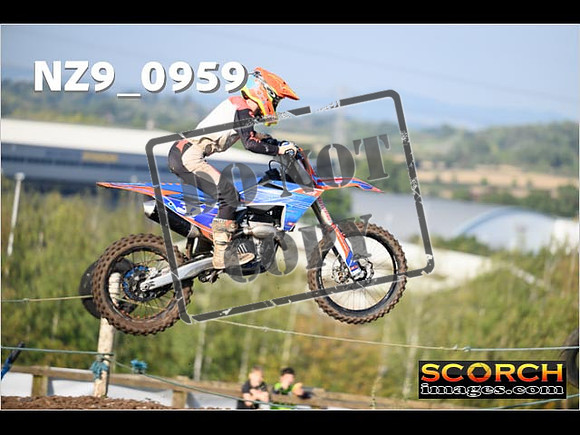 Experts-167