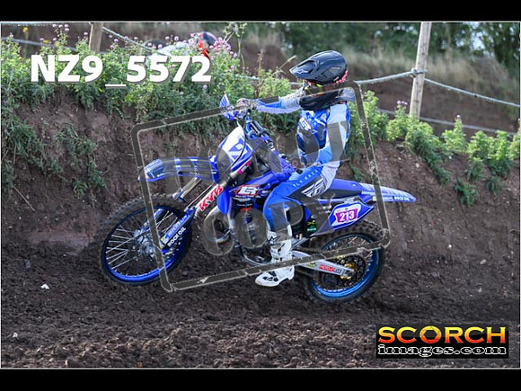 Experts-099