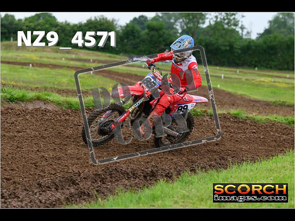 Experts-287