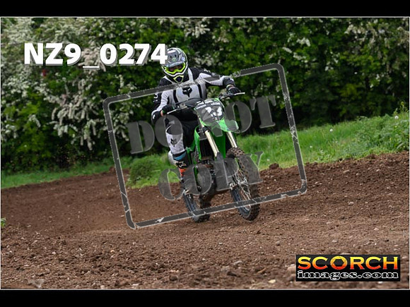 IntersGreen-223