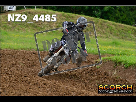 Experts-202