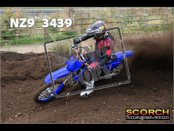 Experts-096