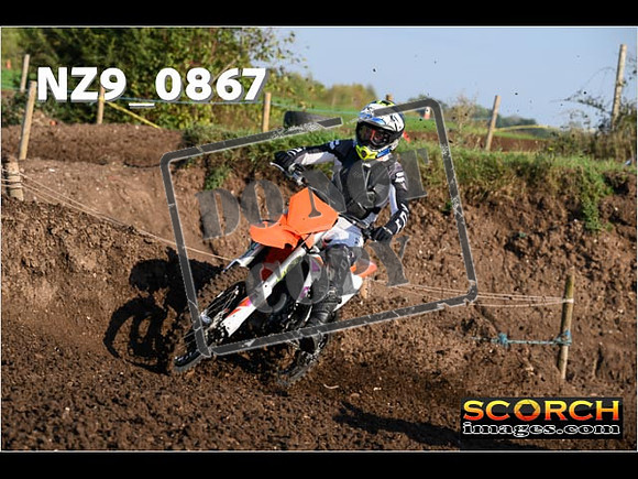 Experts-082