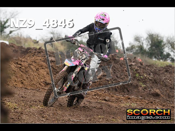 Experts-322