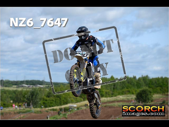 Experts-029