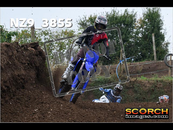 Experts-124