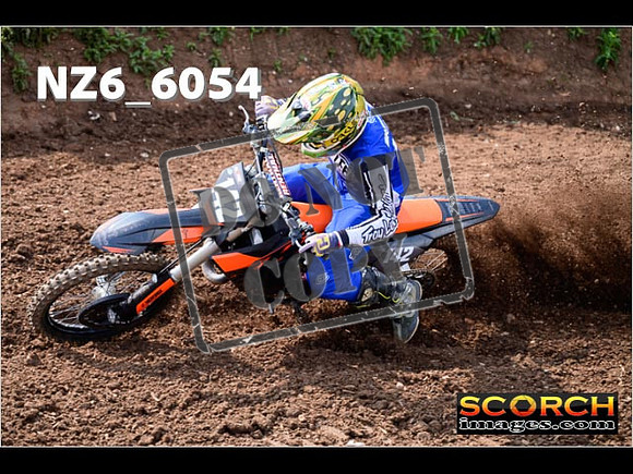 Experts-097