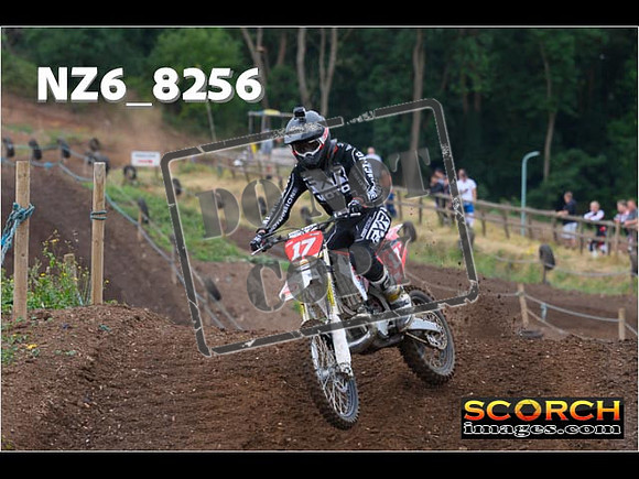 Experts-014