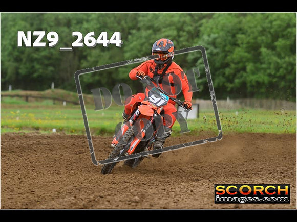 Novice-234