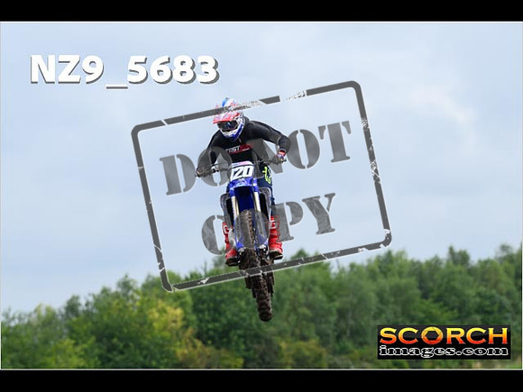 Experts-085