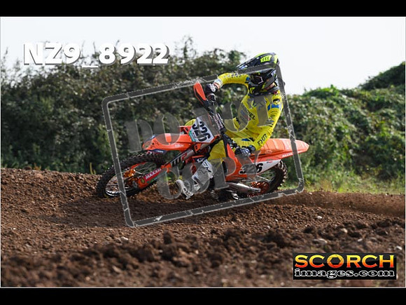 Experts-122