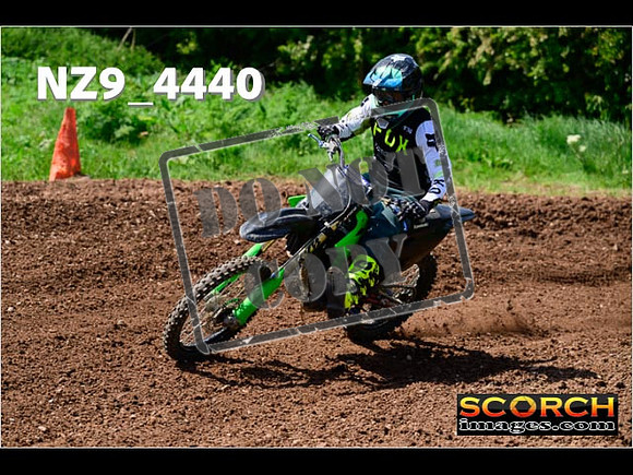 InterGreen-338