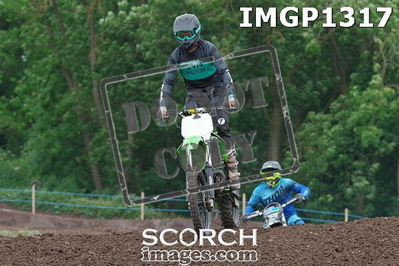 IMGP1317