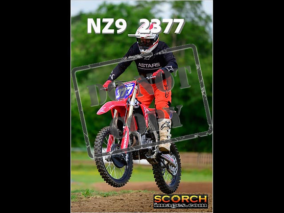 Novice-224