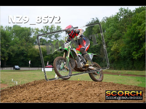Experts-118