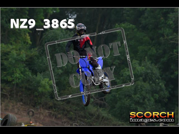 Experts-134