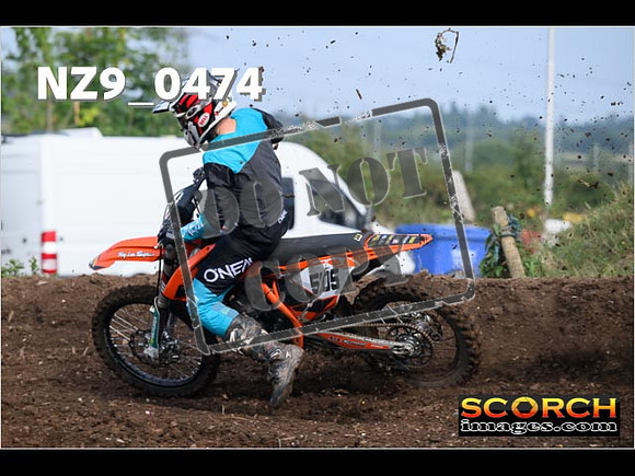 Experts-066