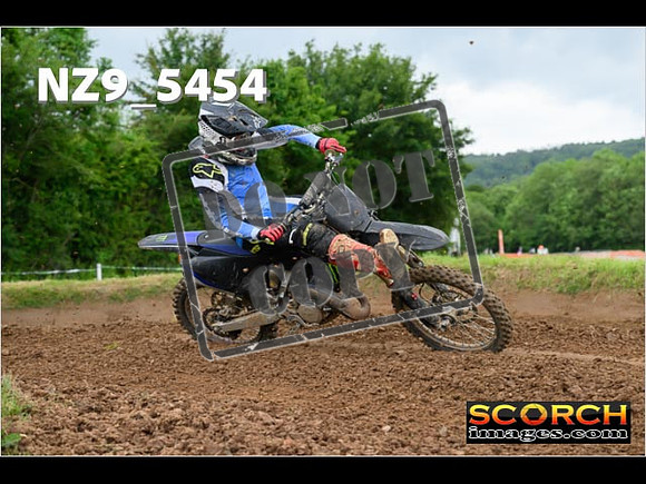 Experts-385