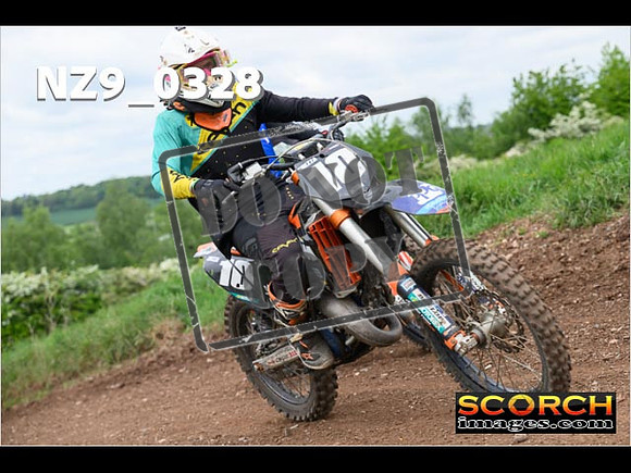 IntersGreen-272