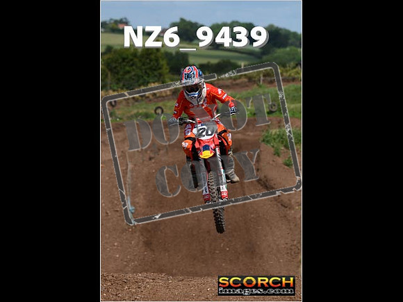 Experts-204