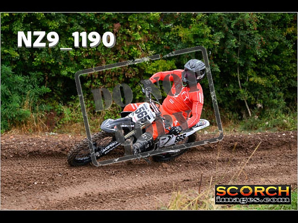 Experts-069