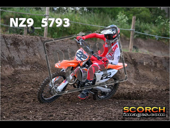Experts-049