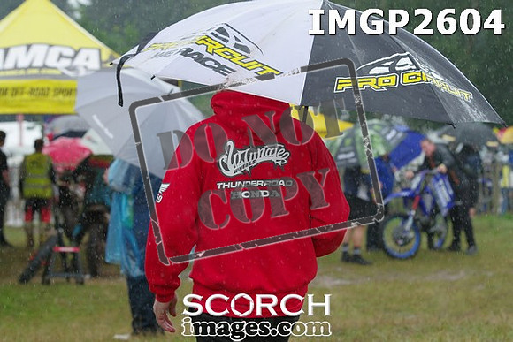 IMGP2604