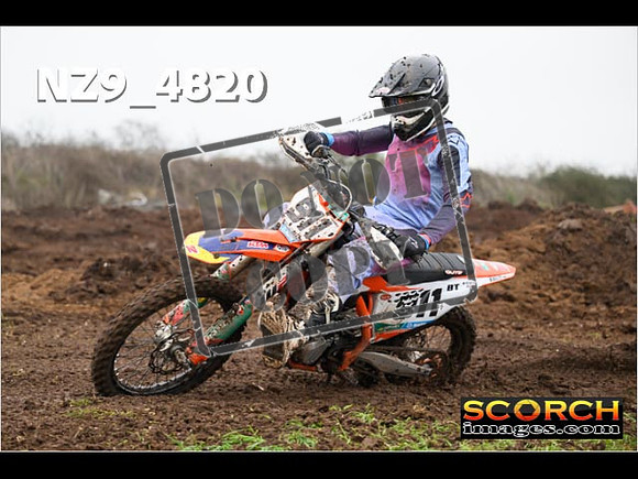 Experts-296