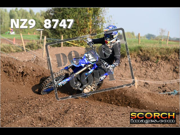 Intermediates-057