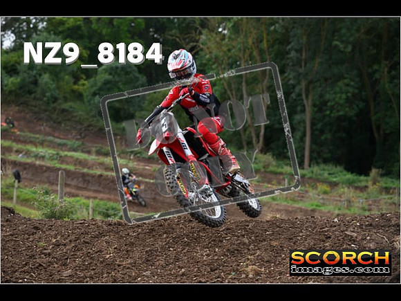 Experts-121