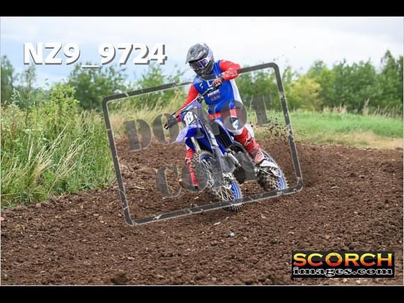 Experts-116