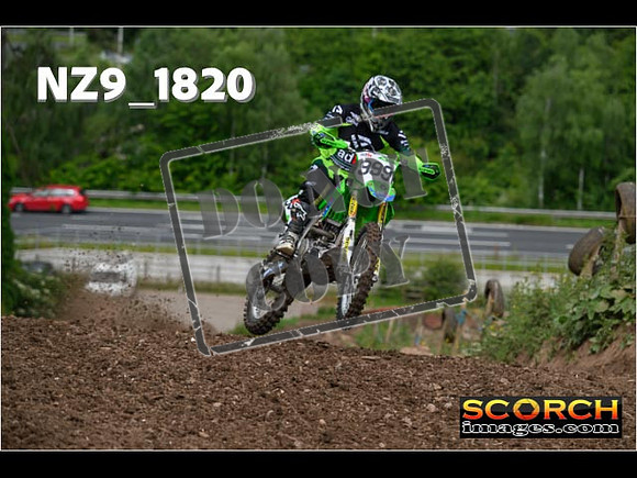 Experts-042