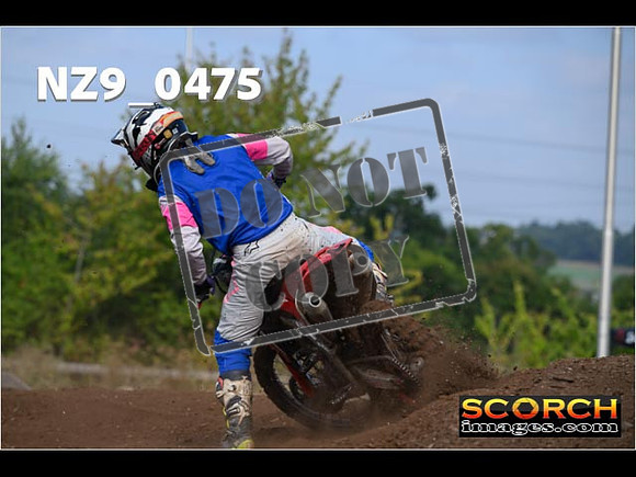 Experts-067