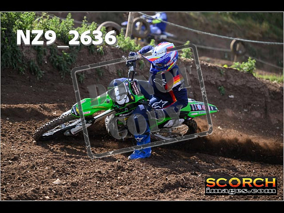 IntersGreenOrange-036